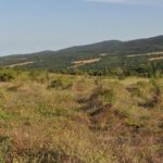 Habitat in Bulgarien