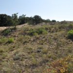 Habitat in Bulgarien
