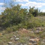 Habitat in Bulgarien