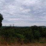 Habitatsbilder aus Kroatien