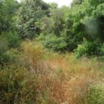 Habitatsbilder aus Kroatien