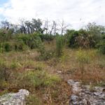 Habitatsbilder aus Kroatien