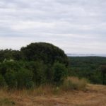 Habitatsbilder aus Kroatien