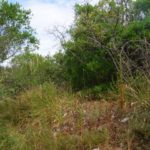 Habitatsbilder aus Kroatien