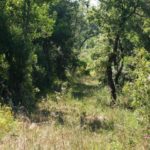 Habitatsbilder aus Kroatien