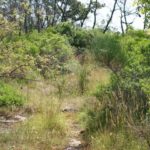 Habitatsbilder aus Kroatien