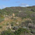 Lebensraum auf Sardinien