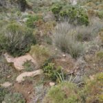 Lebensraum auf Sardinien