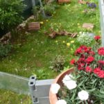 Erweiterung Sylvia Thb