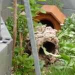 Erweiterung Sylvia Thb