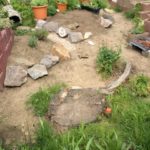 Freigehege für europäische Landschildkröten
