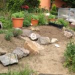 Freigehege für europäische Landschildkröten