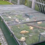 Freigehege von Martin Fix