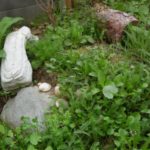 Erweiterung Sylvia Thb