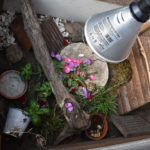 Freigehege von Sabine Meier