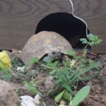 Freigehegebilder von Marie Söller