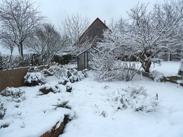 Naturnahe Überwinterung-Geht das? Überwinterung europäischer Landschildkröten