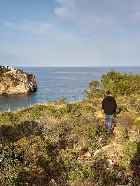 Landschildkröten auf Mallorca-Teil 2