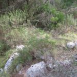 Habitat auf Mallorca