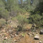 Habitat auf Mallorca