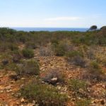 Habitat auf Mallorca
