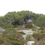 An der Steilküste entlang