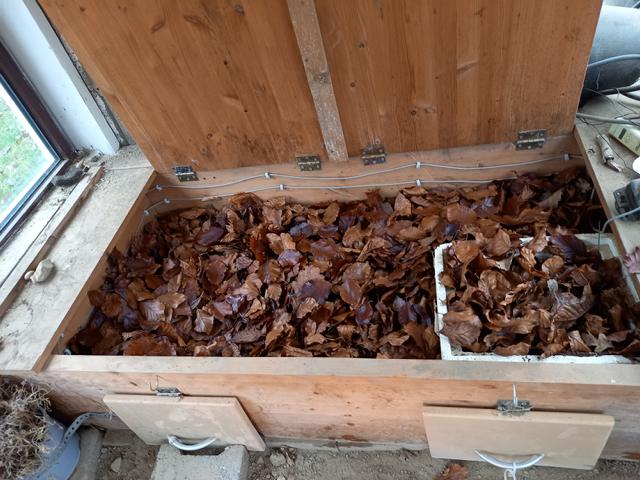 Überwinterungsgrube gefüllt mit Buche-/Eichenlaub