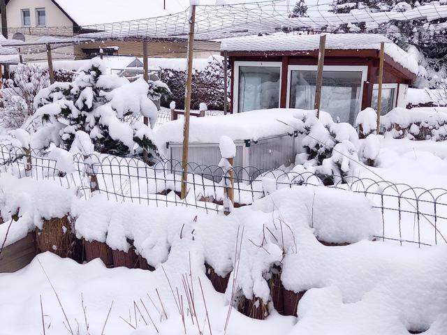 Arbeiten am Schildkrötengehege Dezember und Januar-Winter im Husnrück