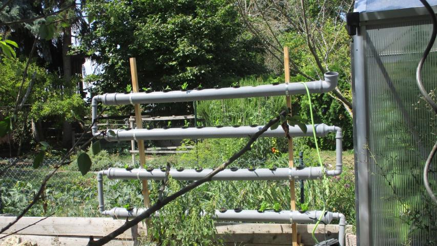 Hydroponikanlage