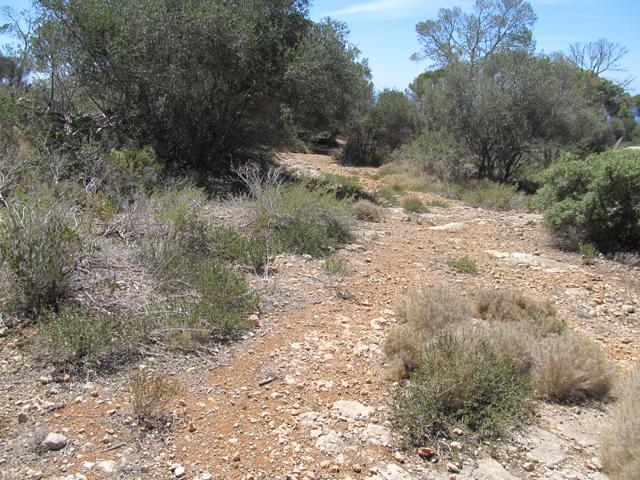 Gehegebau-Vorbild Schildkrötenhabitat auf Mallorca