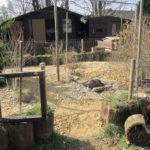 Gehegeubau-Anlegen neues Gehege mit Kalkschotter