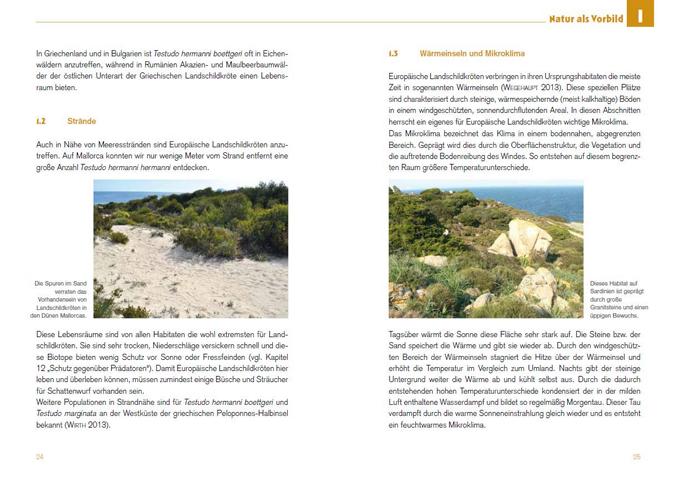 Leseprobe-Freigehege für Europäische Landschildkröten