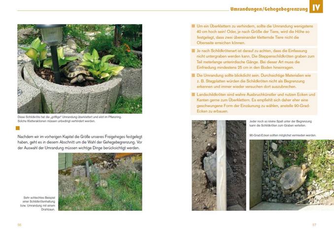 Leseprobe-Freigehege für Europäische Landschildkröten