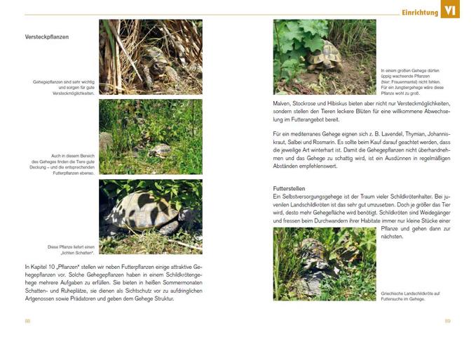 Leseprobe-Freigehege für Europäische Landschildkröten