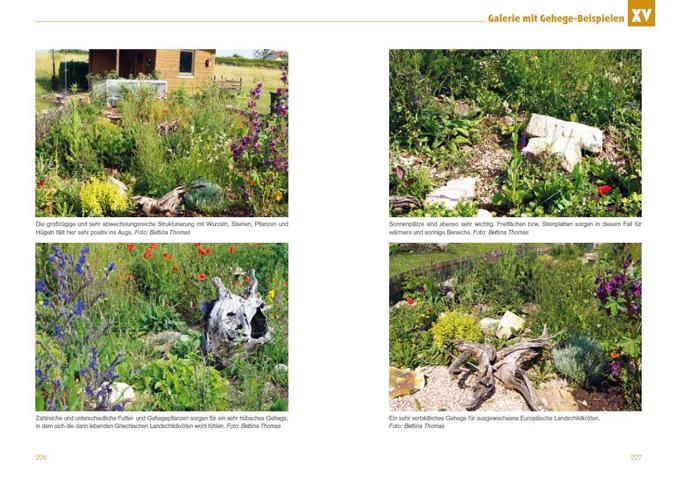 Leseprobe-Freigehege für Europäische Landschildkröten