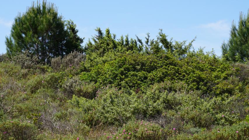 Habitat auf Sardinien