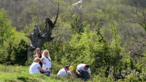 Griechische Landschildkröten im Gebirge