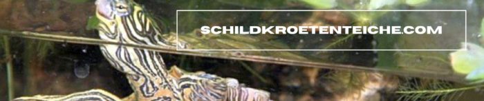 https://www.schildkroetenteiche.com/
