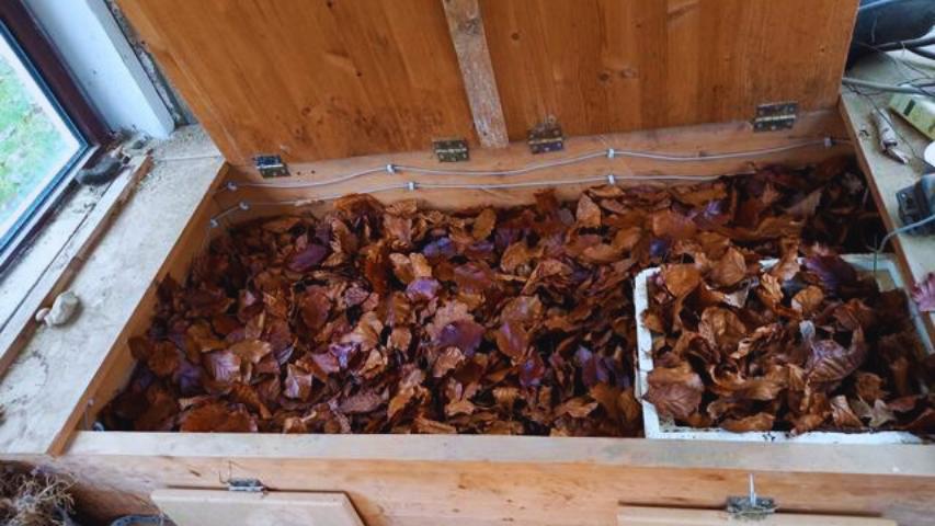 Wintergrube für die gemischte Gruppe - gefüllt mit Eichen,- und Buchenlaub