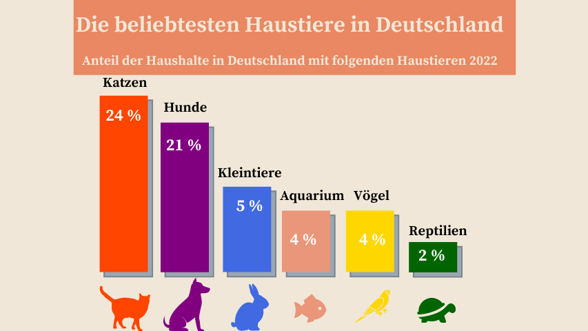 infografik haustiere