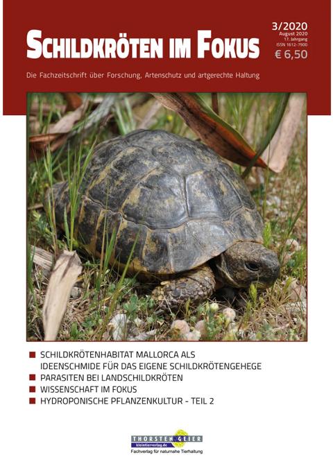 Schildkröten im Fokus: 03/20